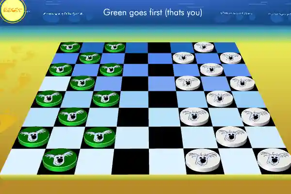 Checkers Board